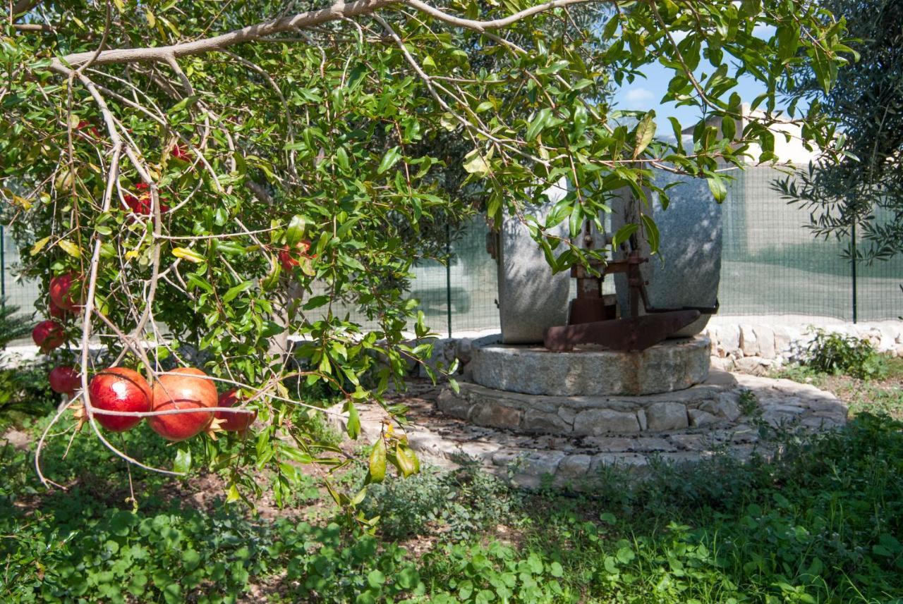 Agriturismo Al Casale Donnafugata Kültér fotó